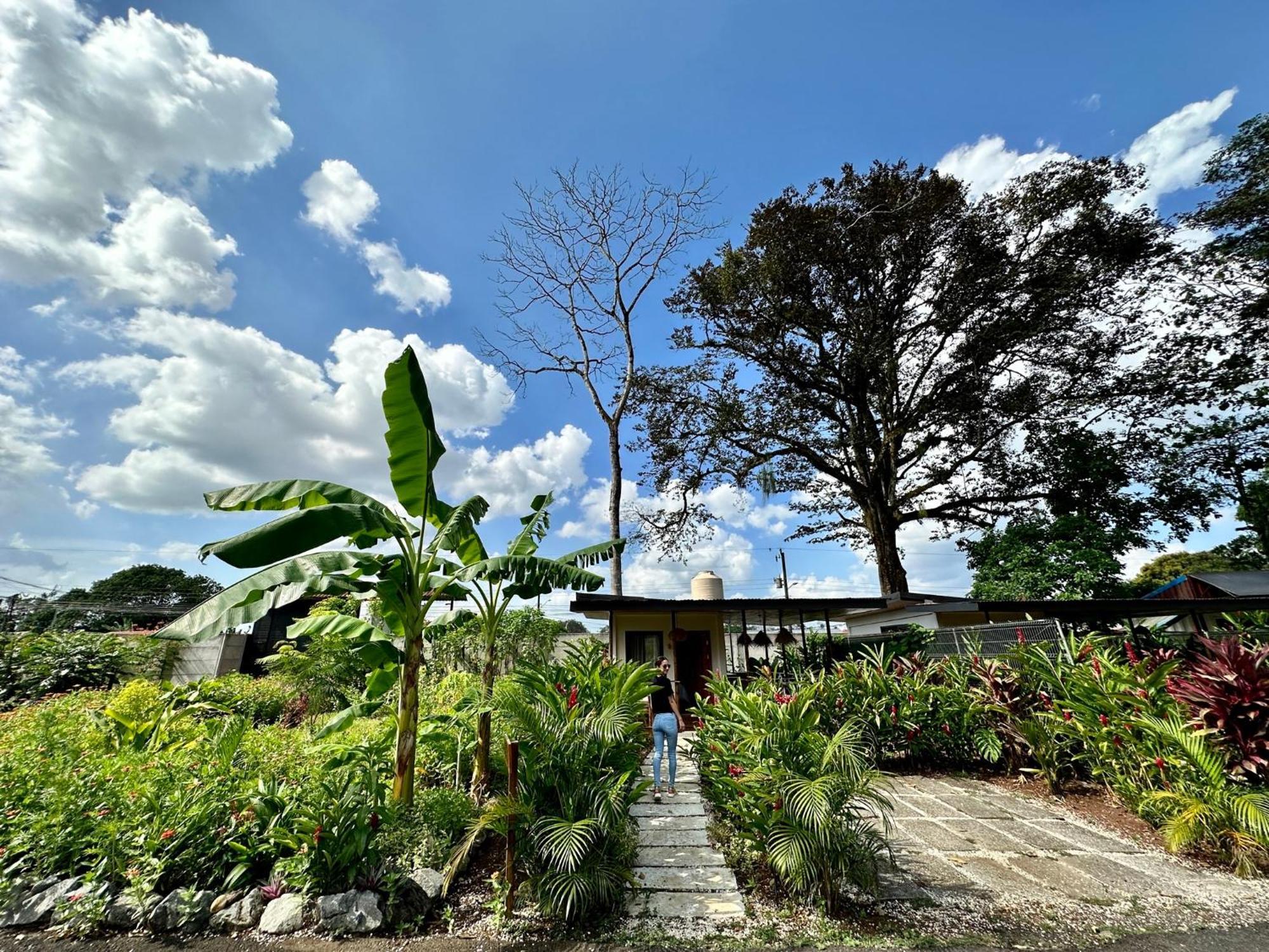 Almendros Eco-Villas La Fortuna 外观 照片