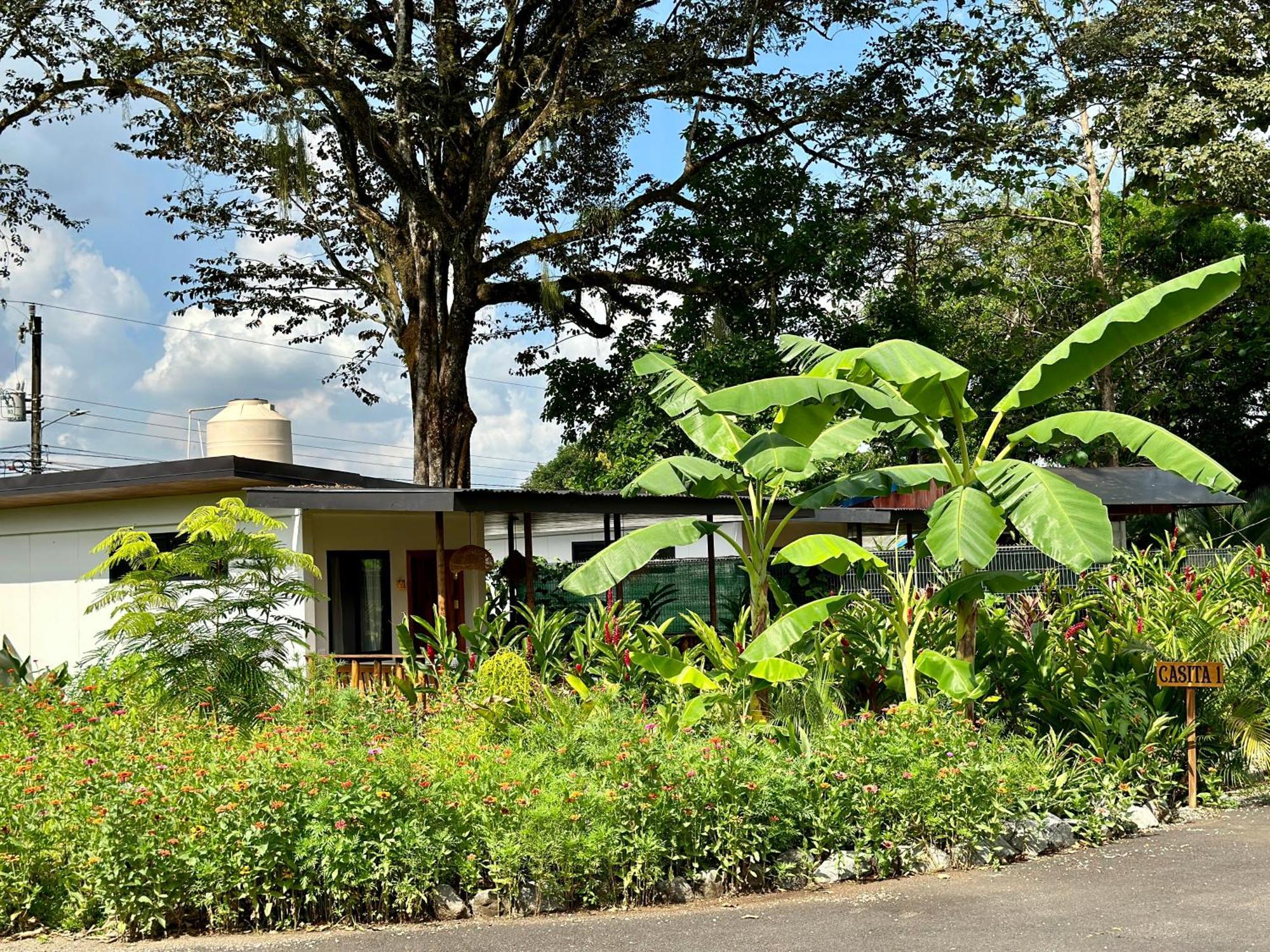 Almendros Eco-Villas La Fortuna 外观 照片